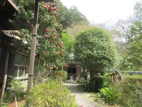 安養寺(京都府)