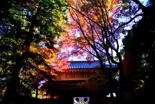 目の霊山　油山寺(静岡県)