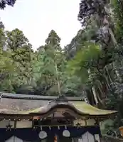 狭井坐大神荒魂神社(狭井神社)(奈良県)