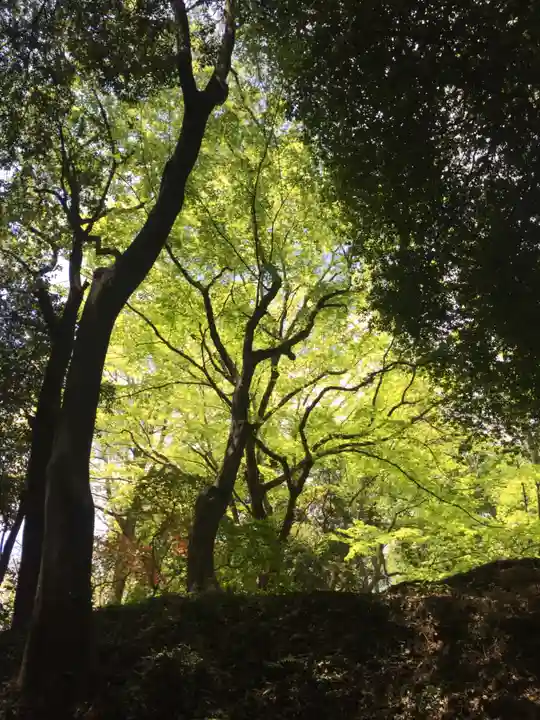 唐澤山神社の周辺
