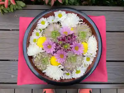 増上寺塔頭 三縁山 宝珠院の手水舎