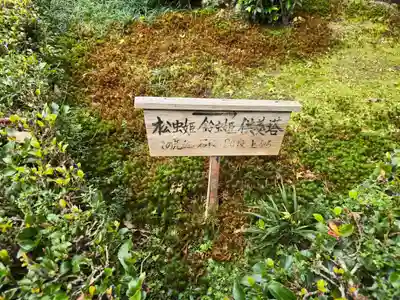 安楽寺(京都府)