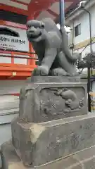 善國寺の狛犬