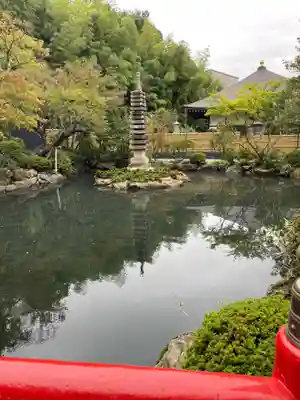 貫井神社(東京都)