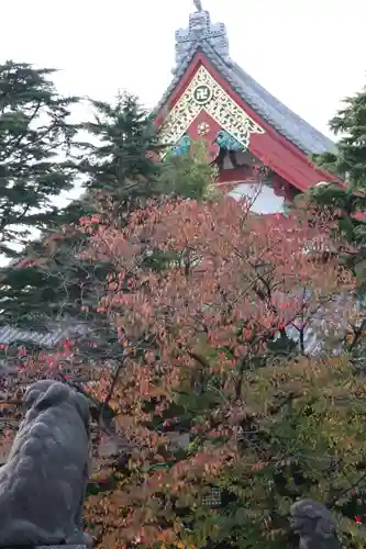 浅草神社の景色