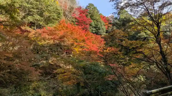 神護寺(京都府)