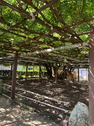 太巌寺（ふじの寺）(三重県)