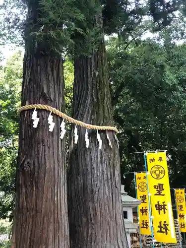 聖神社(埼玉県)