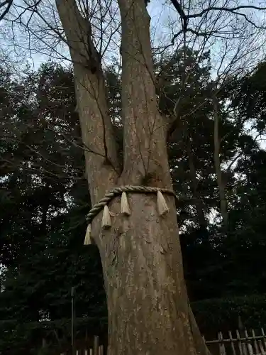 長宮氷川神社(埼玉県)
