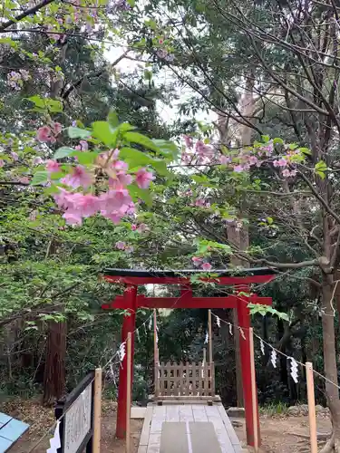 伊古奈比咩命神社の鳥居