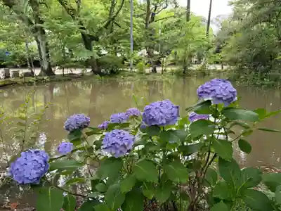 子安神社(千葉県)