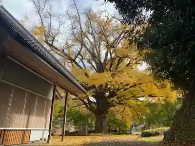 観音堂(千葉県)
