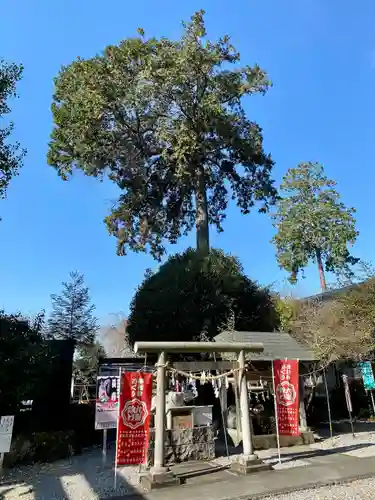 磐裂根裂神社(栃木県)