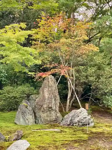 宝厳院(京都府)