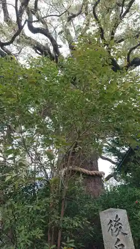 新熊野神社(京都府)