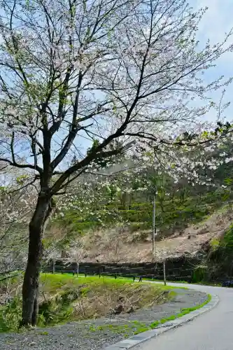 高龍神社(新潟県)