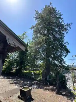 大正寺久保沢観音堂(神奈川県)