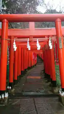 佐助稲荷神社の鳥居