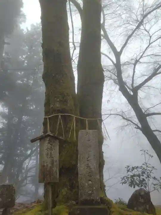 正法寺(滋賀県)