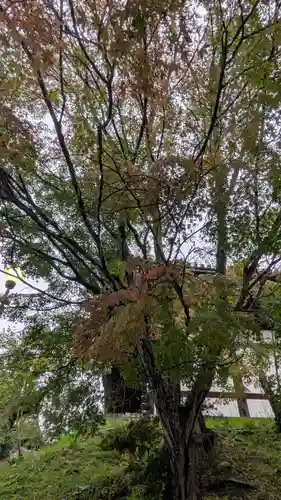 くろ谷 金戒光明寺(京都府)