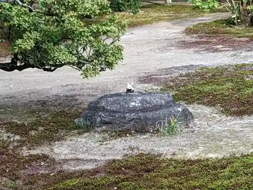 聖護院門跡(京都府)