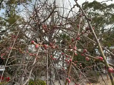 美奈宜神社(福岡県)