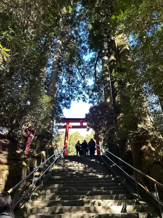 箱根神社(神奈川県)