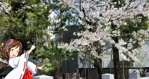 香取神社の景色