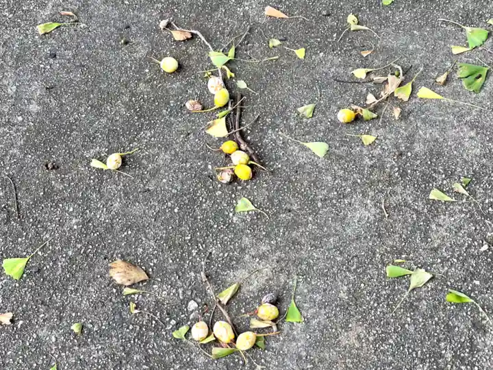 多爲神社(三重県)