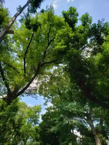 代々木八幡宮の自然