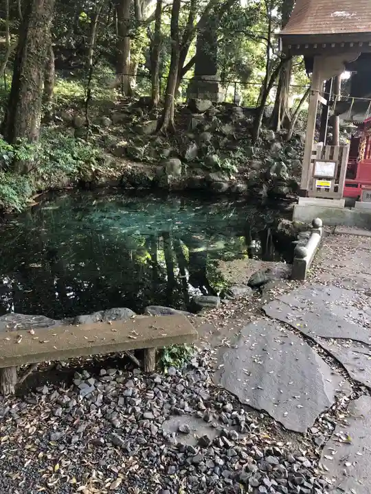 泉神社の庭園