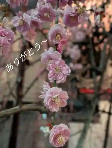 成願寺(東京都)