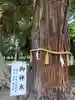 息栖神社の自然