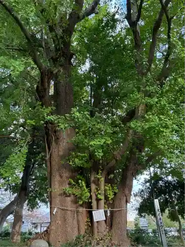 豊積神社(静岡県)