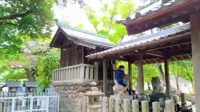 八幡社（烏森八幡社）の本殿・本堂