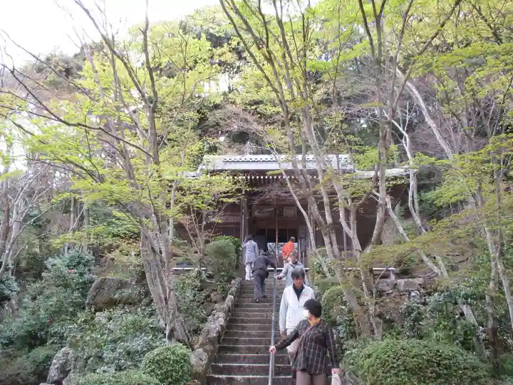勝持寺(花の寺)のその他建物