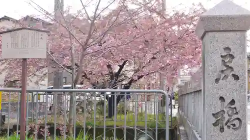 晴明神社の自然