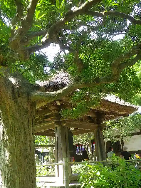 円応寺のその他建物