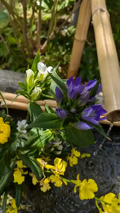 宝蔵寺(京都府)