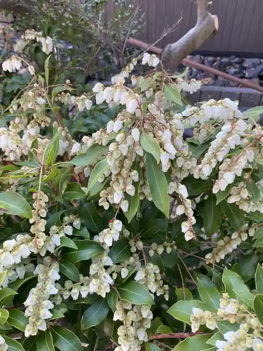 浄昇寺(愛知県)