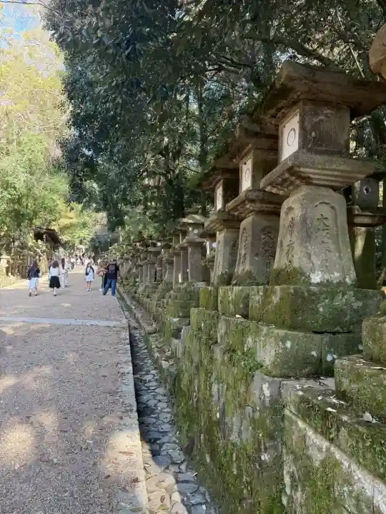 春日大社の{uncategorized: "未分類", other: "その他", undefined: "問題あり", building: "その他建物", grave: "お墓", sacred_gate: "鳥居", guardian: "狛犬", statue: "像", buddha: "仏像", history: "歴史", nature: "自然", garden: "庭園", animal: "動物", pagoda: "塔", temizu: "手水舎", mountain_gate: "山門・神門", sanctuary: "本殿・本堂", subordinate: "末社・摂社", art: "芸術", scenery: "景色", jizo: "地蔵", ema: "絵馬", goshuin: "御朱印", omikuji: "おみくじ", items: "授与品その他", amulet: "お守り", goshuincho: "御朱印帳", eats: "食事", festival: "お祭り", votive_dance: "神楽", shichigosan: "七五三参", wedding: "結婚式", experience: "体験その他", initially: "初詣", around: "周辺", anti_infection: "感染症対策"}