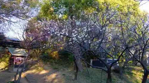 谷保天満宮の庭園