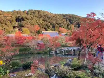 禅林寺(永観堂)(京都府)