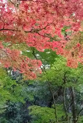 方廣寺(静岡県)