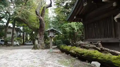 駒形神社(岩手県)