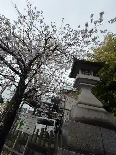 七所神社の{uncategorized: "未分類", other: "その他", undefined: "問題あり", building: "その他建物", grave: "お墓", sacred_gate: "鳥居", guardian: "狛犬", statue: "像", buddha: "仏像", history: "歴史", nature: "自然", garden: "庭園", animal: "動物", pagoda: "塔", temizu: "手水舎", mountain_gate: "山門・神門", sanctuary: "本殿・本堂", subordinate: "末社・摂社", art: "芸術", scenery: "景色", jizo: "地蔵", ema: "絵馬", goshuin: "御朱印", omikuji: "おみくじ", items: "授与品その他", amulet: "お守り", goshuincho: "御朱印帳", eats: "食事", festival: "お祭り", votive_dance: "神楽", shichigosan: "七五三参", wedding: "結婚式", experience: "体験その他", initially: "初詣", around: "周辺", anti_infection: "感染症対策"}