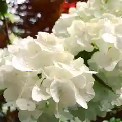 滑川神社 - 仕事と子どもの守り神の自然