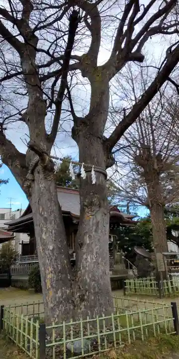 八幡橋八幡神社(神奈川県)