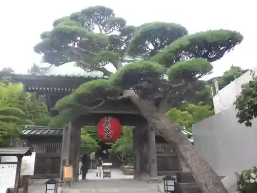 長谷寺の山門・神門