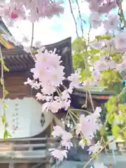 豊景神社の自然